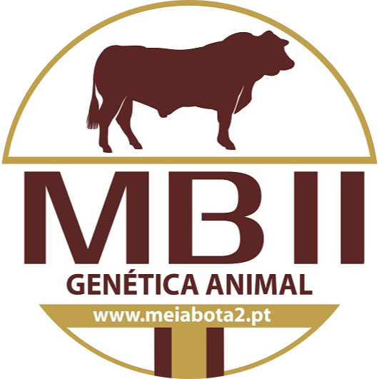 MBII